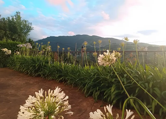 Апартаменты Lokate 2 *